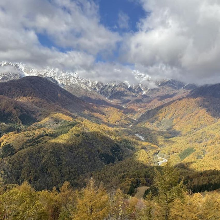 「本屋を守れ」藤原正彦